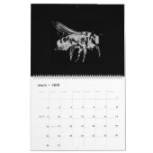 Black and White minimalist Style Insects - Bugs Calendar (Mar 2025)