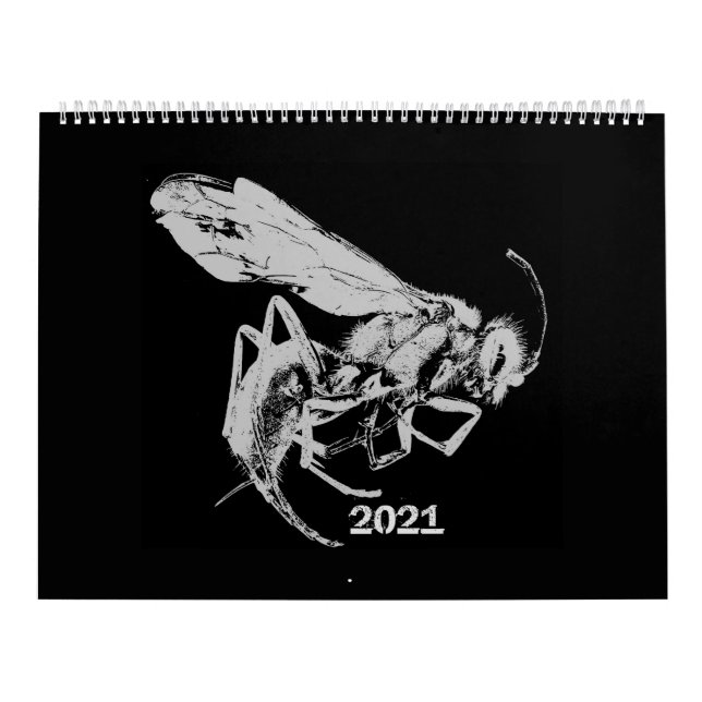 Black and White minimalist Style Insects - Bugs Calendar (Cover)