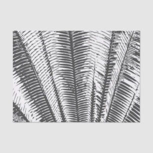 Black and White Modern Tropical Palm Fronds Tissue Paper