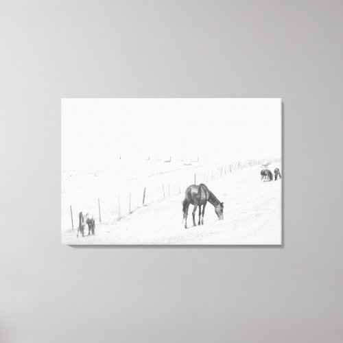 Black And White Monochrome Rural Wild Horses Canvas Print
