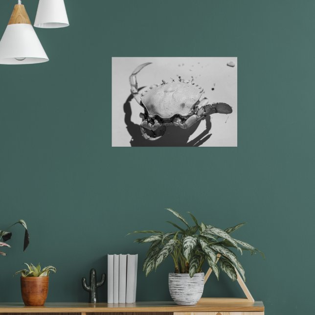 Black And White Monochrome Sea Ocean Crab Poster (Living Room 1)