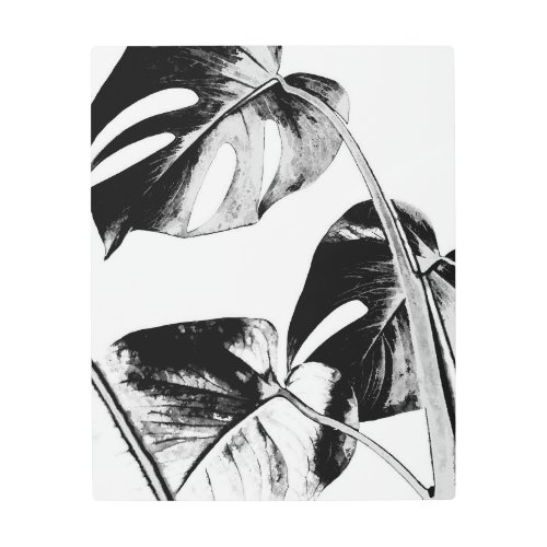 Black and white monstera leaves tropical exotic metal print