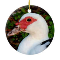Black and White Muscovy Duck Hen Ceramic Ornament