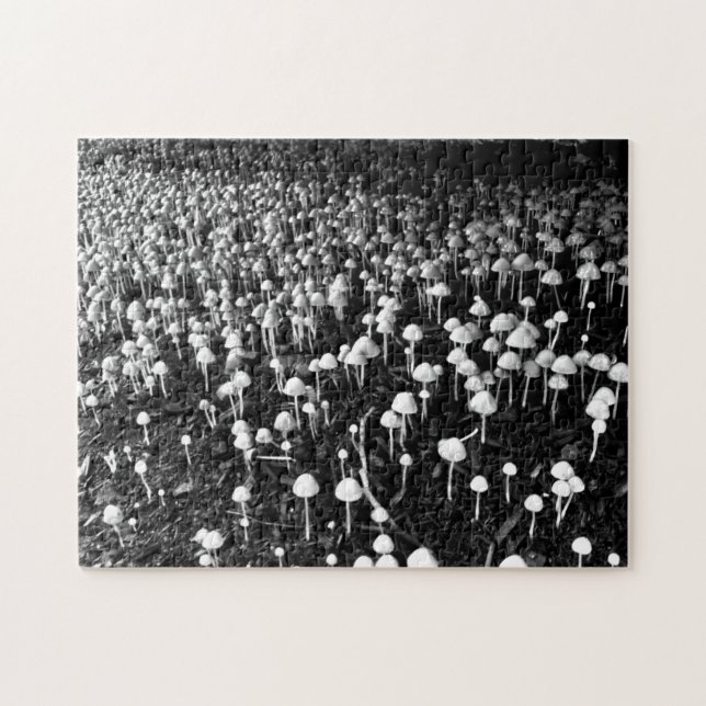Black and White Mushroom Colony Photo Jigsaw Puzzle (Horizontal)
