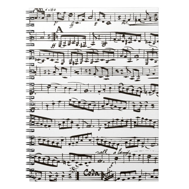 Black and white musical notes notebook (Front)
