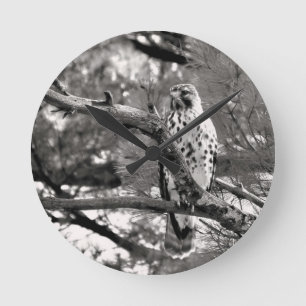 Black and White Nature Red Shouldered Hawk - Round Clock
