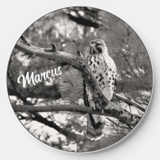 Black and White Nature Red Shouldered Hawk - Wireless Charger