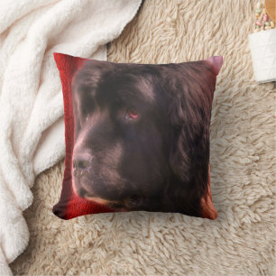 Black And White Newfoundland Dog Face Throw Pillow