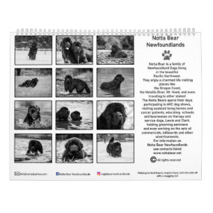 Black and white newfoundland photography calendar