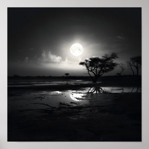 Black and white noir photo moon landscape Poster