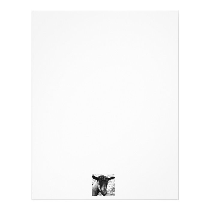 Black and white Oberhasli doe goat head view Customized Letterhead