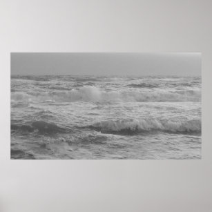 Florida Black and White Photography Wall Art: Prints, Paintings & Posters
