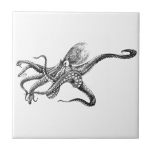 Black and White Octopus Illustration Tile