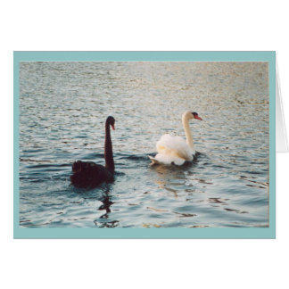 Black and white on the Rideau Cards