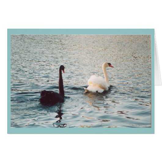Black and white on the Rideau Cards (Front Horizontal)
