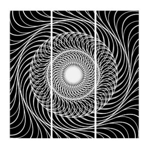 Black and white optical illusion art