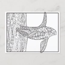 Black and White - Orca Coloring Postcard