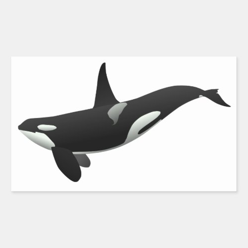 Black and White Orca Killer Whale Rectangular Sticker