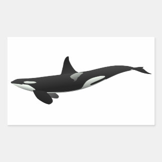 Black and White Orca Killer Whale Rectangular Sticker