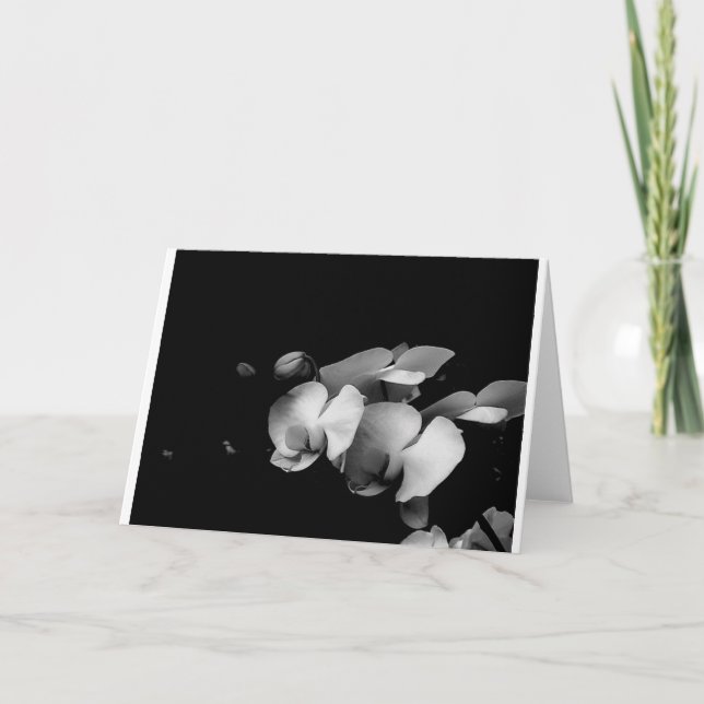 Black and White Orchid Branch Card (Front)