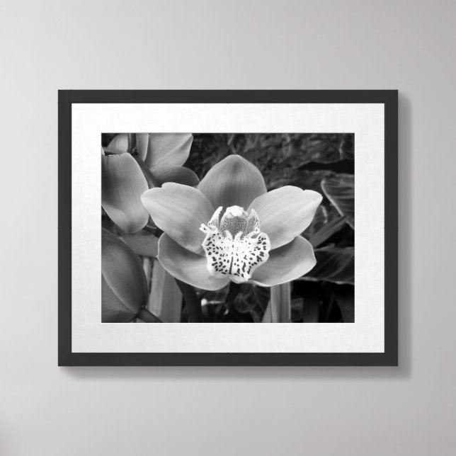 Black And White Orchid Photograph Framed Art (Framed Front)