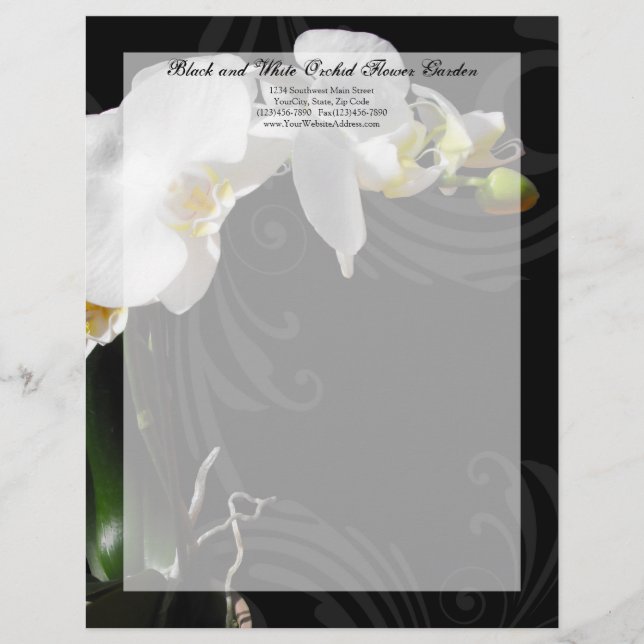 Black and White Orchid Swirl Letterhead (Front)