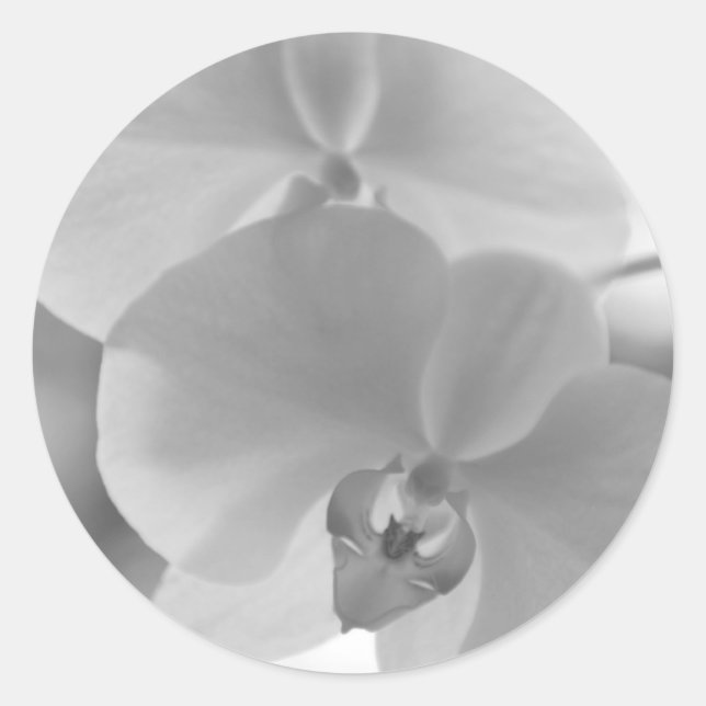 Black and White Orchids Classic Round Sticker (Front)