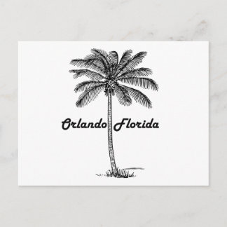 Black and White Orlando & Palm design Postcard