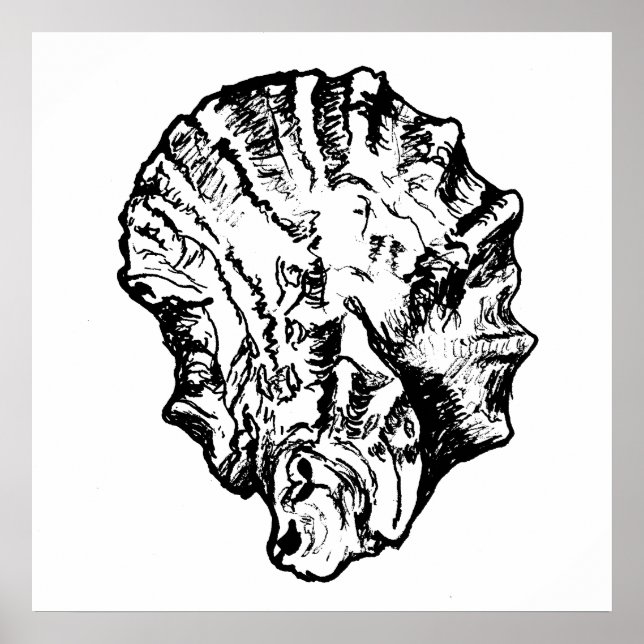 Black and White Oyster Shell Poster (Front)