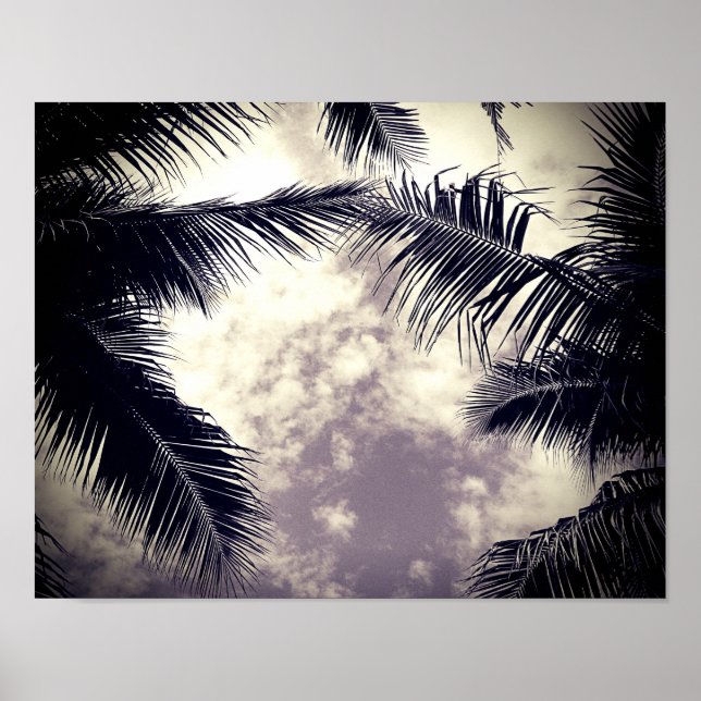 Black and White Palm Tree Beach Decor Photo (Front)