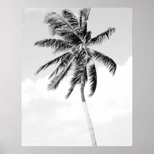 Black and white palm tree beach photo poster