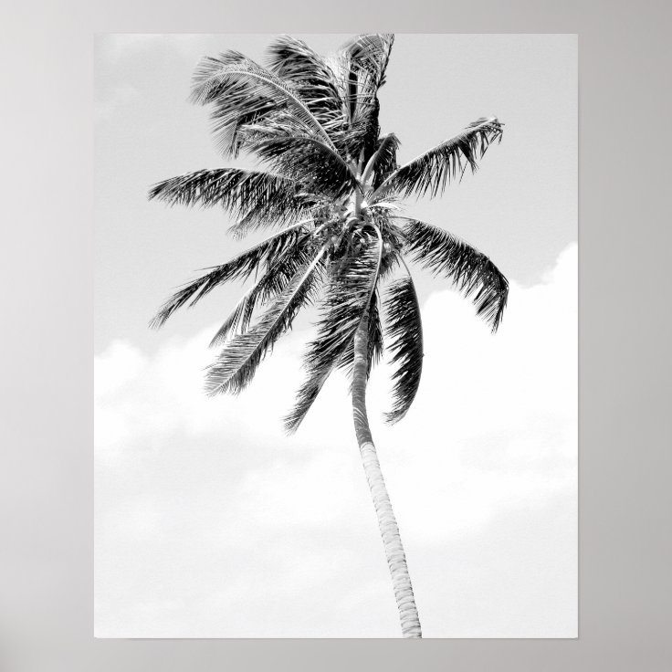 Black and white palm tree beach photo poster | Zazzle