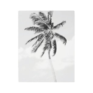 Black and white palm tree tropical photo metal print
