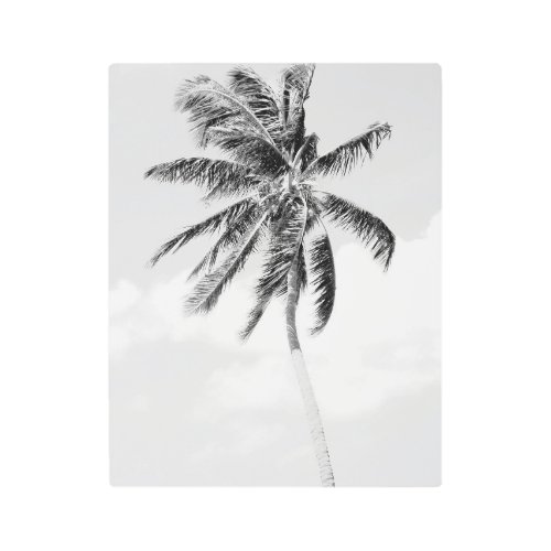 Black and white palm tree tropical photo metal print
