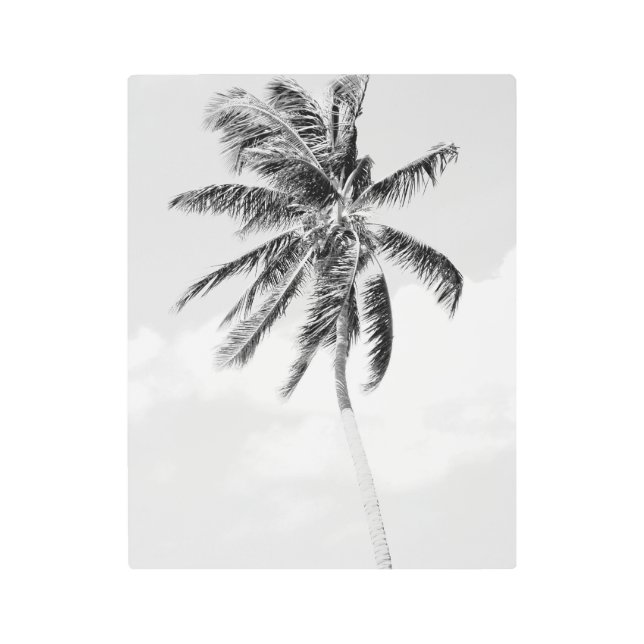 Black and white palm tree tropical photo metal print (Front)