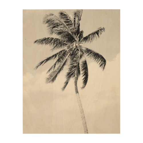 Black and white palm tree tropical photo wood wall decor
