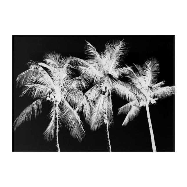 Black and white palm tree tropical summer acrylic print (Front)