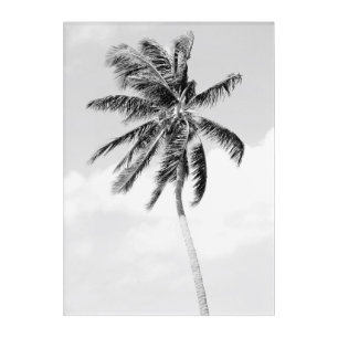 Black and white palm tree tropical summer acrylic print
