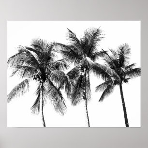 Black and white palm tree tropical summer poster