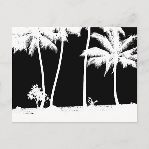 Black and White Palm Trees Postcard