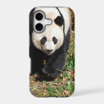 Black and White Panda iPhone 17 Case