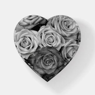 Black and White Paperweight