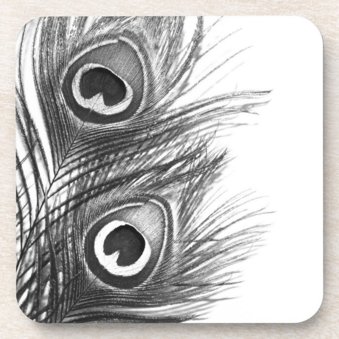 Black and White Peacock Feather Coasters