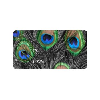 Black And White Peacock Feather Gift Tags by ChristyWyoming at Zazzle