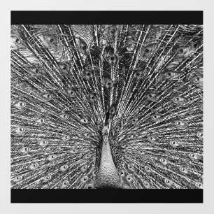 Black and White Peacock Floor Decals