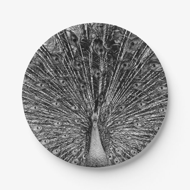 Black and White Peacock Paper Plates (Front)