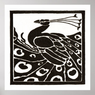 BLACK AND WHITE PEACOCK POSTER