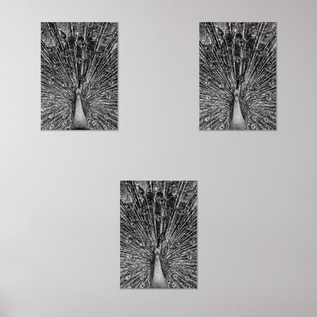 Black and White Peacock Wall Art Sets (Front)