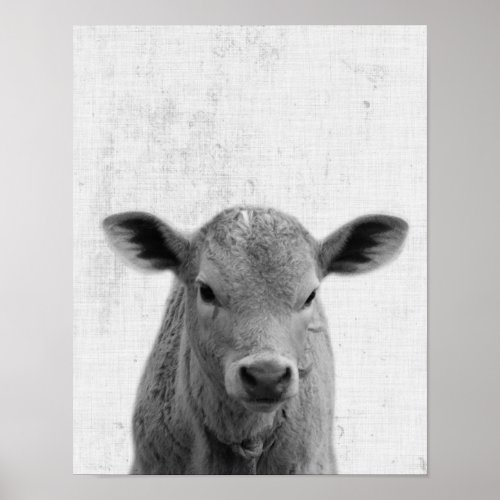 Black and White Peekaboo Cow Minimalist Nursery Poster