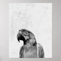 Black and White Peekaboo Parrot Minimalist Nursery